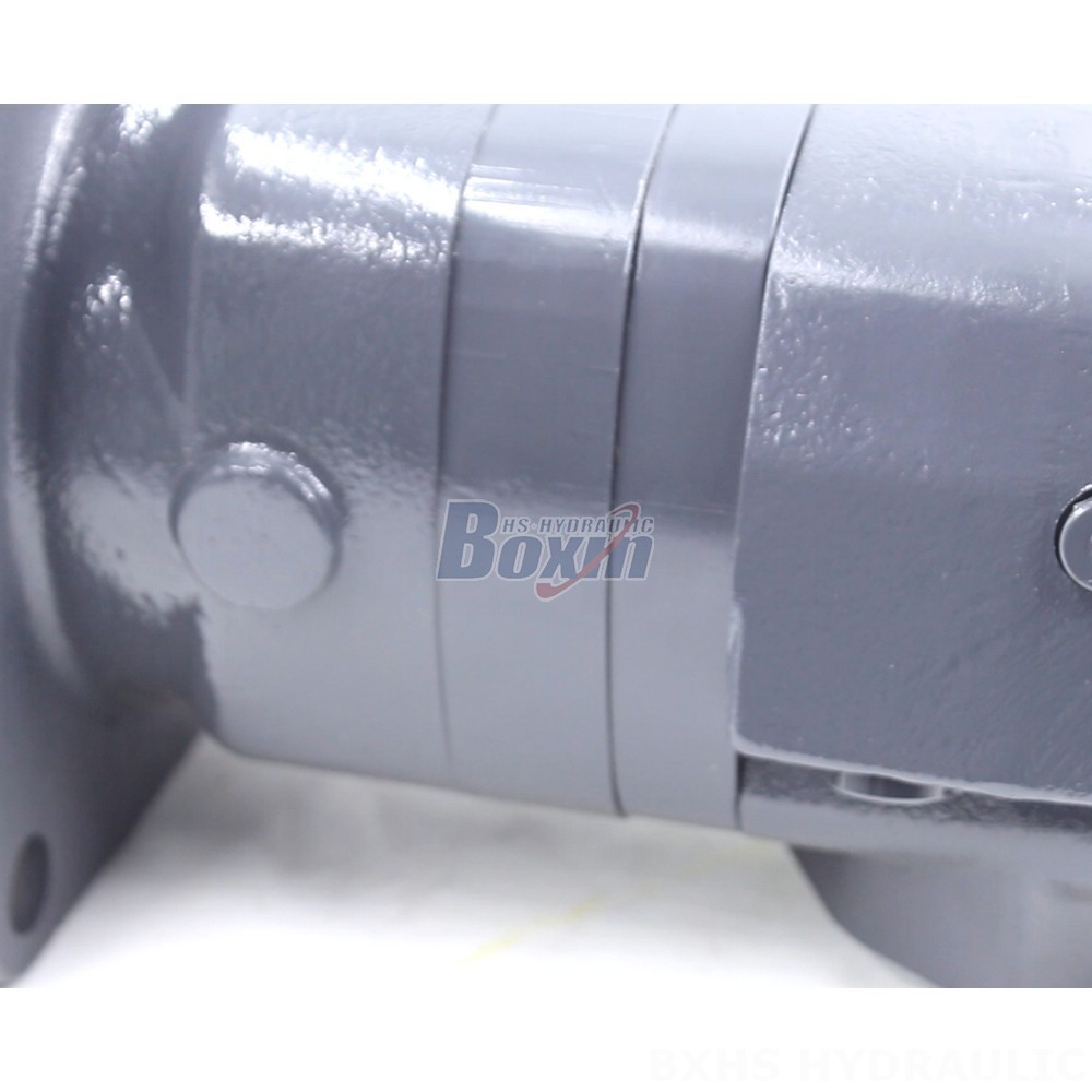Bulk BM6 Cycloid Hydraulic Motors - Factory Supply - 245 cc/r 150 Lpm detail image